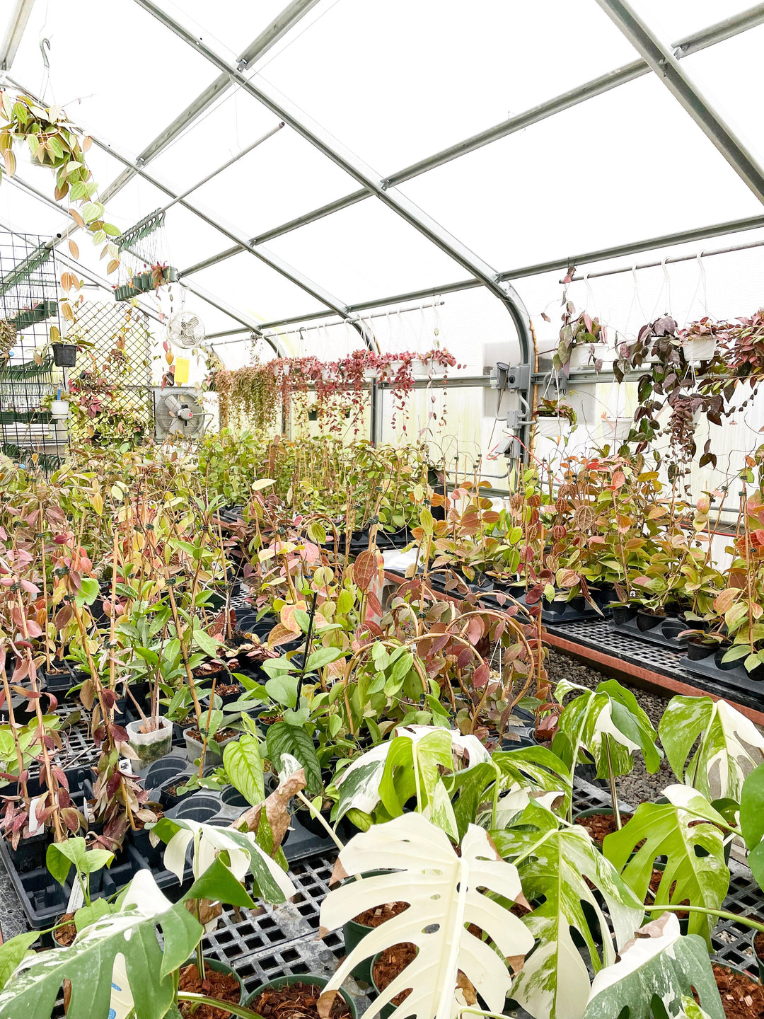Greenhouse Appointment - YUCAIPA, CA