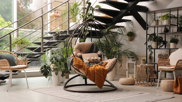 indoor plants home design
