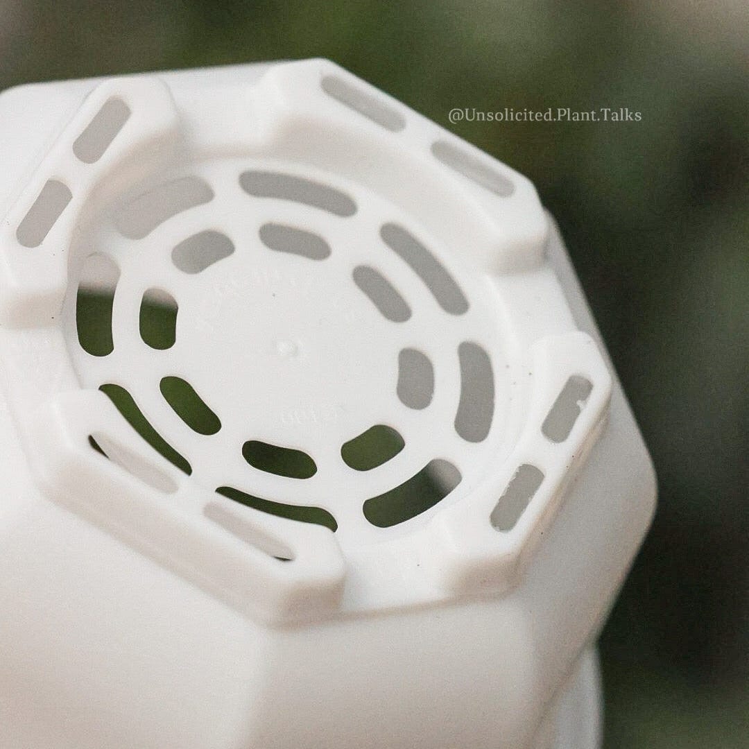 small hanging pot (pack of 20) – Unsolicited Plant Talks